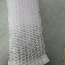 PE连体蜂窝育苗袋快速装土蜂窝状育苗容器育苗袋