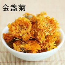 金盏菊产地供应支持线上交易可搭配多品种采购大货联系