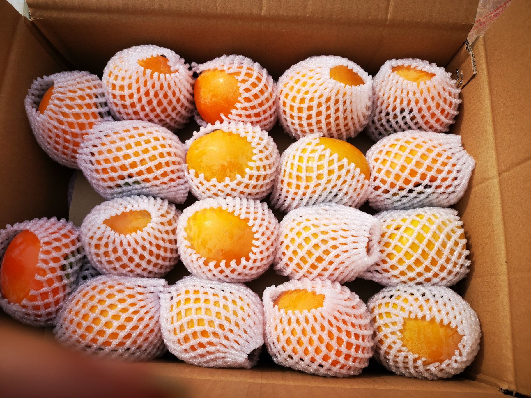 包装精美的太秋甜柿礼盒