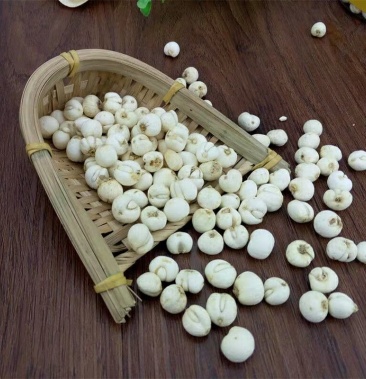 贝母川贝母四平贝母中药材无硫5