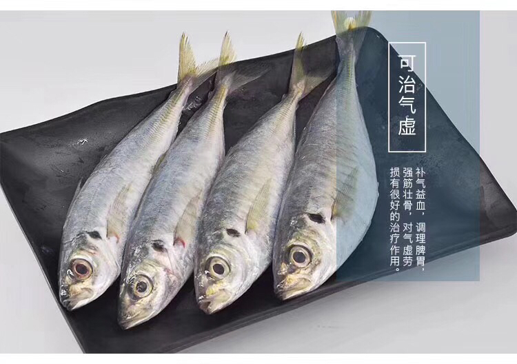 [巴浪鱼批发]福建漳州东山县巴浪鱼 8.00元/斤巴浪鱼 灯光巴 _ 一亩田