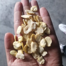 四川豆瓣
