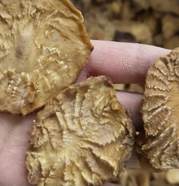 肉苁蓉鲜干片,冬季去皮切片100克