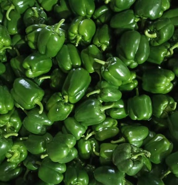 [鲜辣椒批发]绿椒价格1.20元/斤 - 一亩田