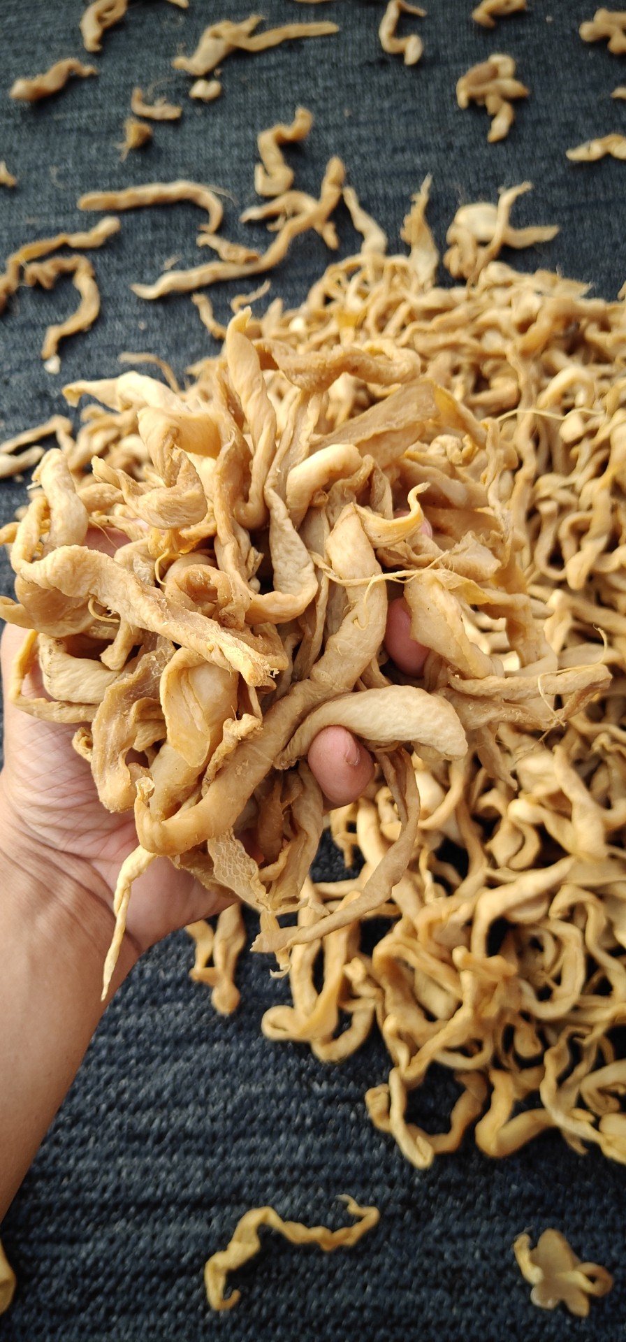 [萝卜干批发]萝卜干 广西 梧州 藤县 干货 萝卜干价格5.