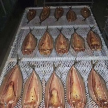 辽宁东港深海海捕新鲜鲅鱼干