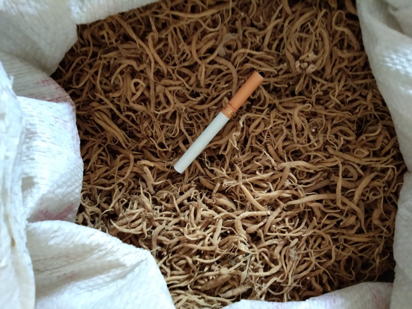 医学影像对比:采用VISIA-CR皮肤检测系统采集的同一受试者服参前后面部微循环热力图,标注关键解剖位点(颧骨、鼻唇沟、颞部),箭头指示血流信号强度提升区域,数据经图像灰度量化分析 红参粉冲泡液与面部皮肤微循环对比图:左侧为未服用红参者面部高光谱影像,显示颞部及颧骨区血流灌注稀疏;右侧为连续服用红参28天后同一区域影像,可见明显网状血流信号增强,尤其鼻唇沟及苹果肌区域呈均匀暖色调