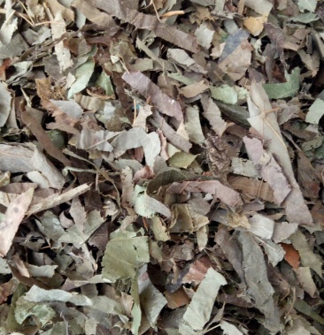 [淫羊藿批发]羊角叶淫羊藿价格50.00元/公斤 - 一亩田