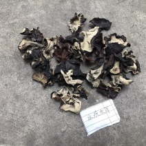 水洗毛木耳，无加工，跑地摊展销的货，关注咨询