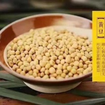 巴中鱼溪豆干，巴中最好吃的豆干