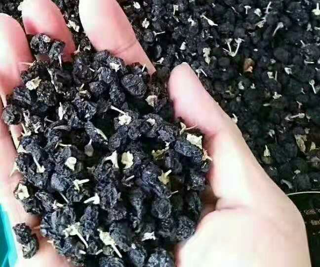 生活化场景摄影:清晨阳光透过玻璃窗,一只白瓷杯盛放黑枸杞泡水,茶汤呈清澈红紫色,杯沿漂浮3粒完整黑枸杞果实,背景虚化处可见电子计时器显示'第42天',暗示长期坚持的日常健康习惯 黑枸杞泡水饮用场景图