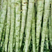莴笋杆子大量有货代发全国保质保量欢迎合作