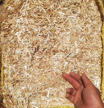 出售玉米秸秆压块
