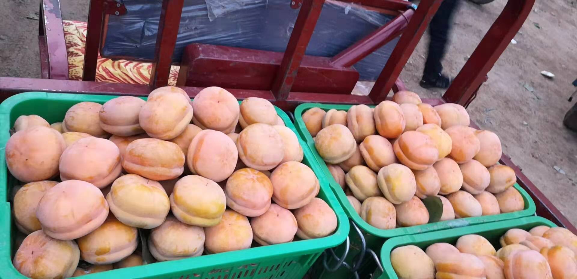 小磨盘柿礼盒与加工产品展示