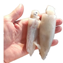 小鱿鱼一口管笔管鱼东山小管鲜嫩脆爽