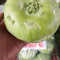 苤蓝大量上市了
