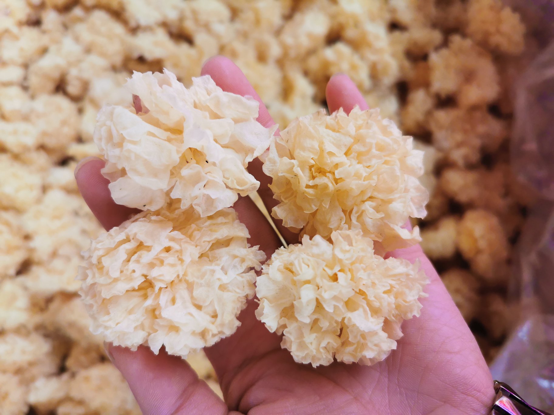 银耳炖煮过程图