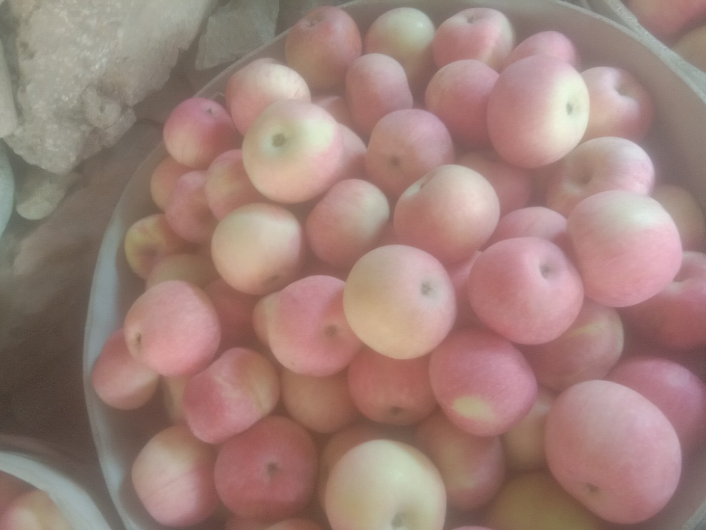 国光苹果营养成分表