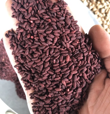 红曲米红粬米红粬新货颗粒饱满一公斤起批