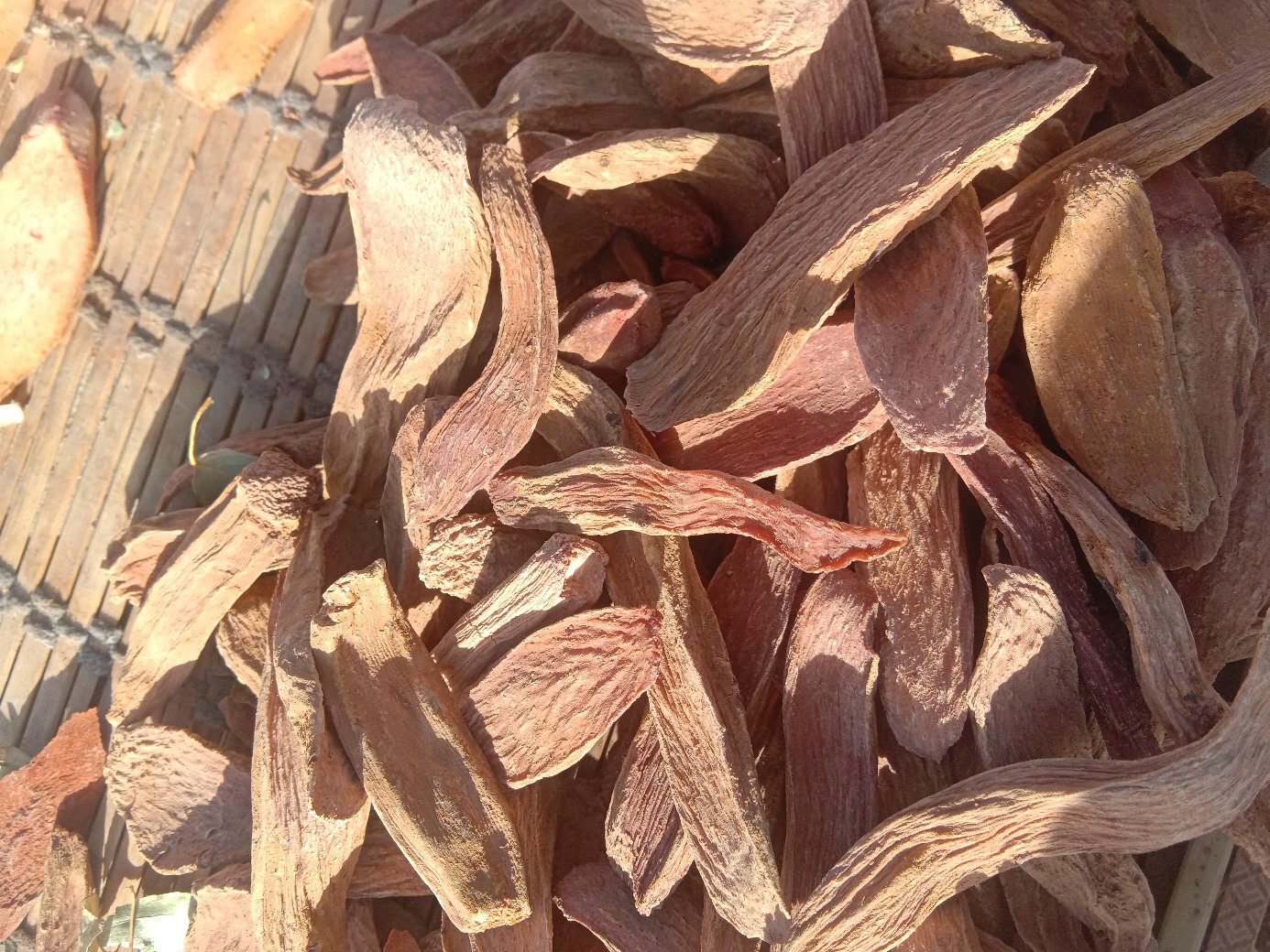 高清微距摄影:左侧为切片锁阳(深棕色肉质茎,表面密布鳞片状突起,断面呈蜂窝状棕黄色组织);右侧为宁夏中宁枸杞干果(鲜红椭圆形,果皮皱缩明显,表面覆有天然果蜡层,尺寸均匀在1.2–1.5cm之间,无硫熏白斑 锁阳与宁夏中宁枸杞实物对比图