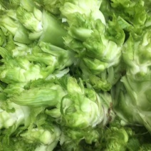 儿菜(小头儿菜)