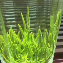 竹叶青，生活有追求，饮茶有讲究。
