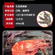大量批发野生黑虎虾