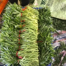 好又多新鲜黎蒿