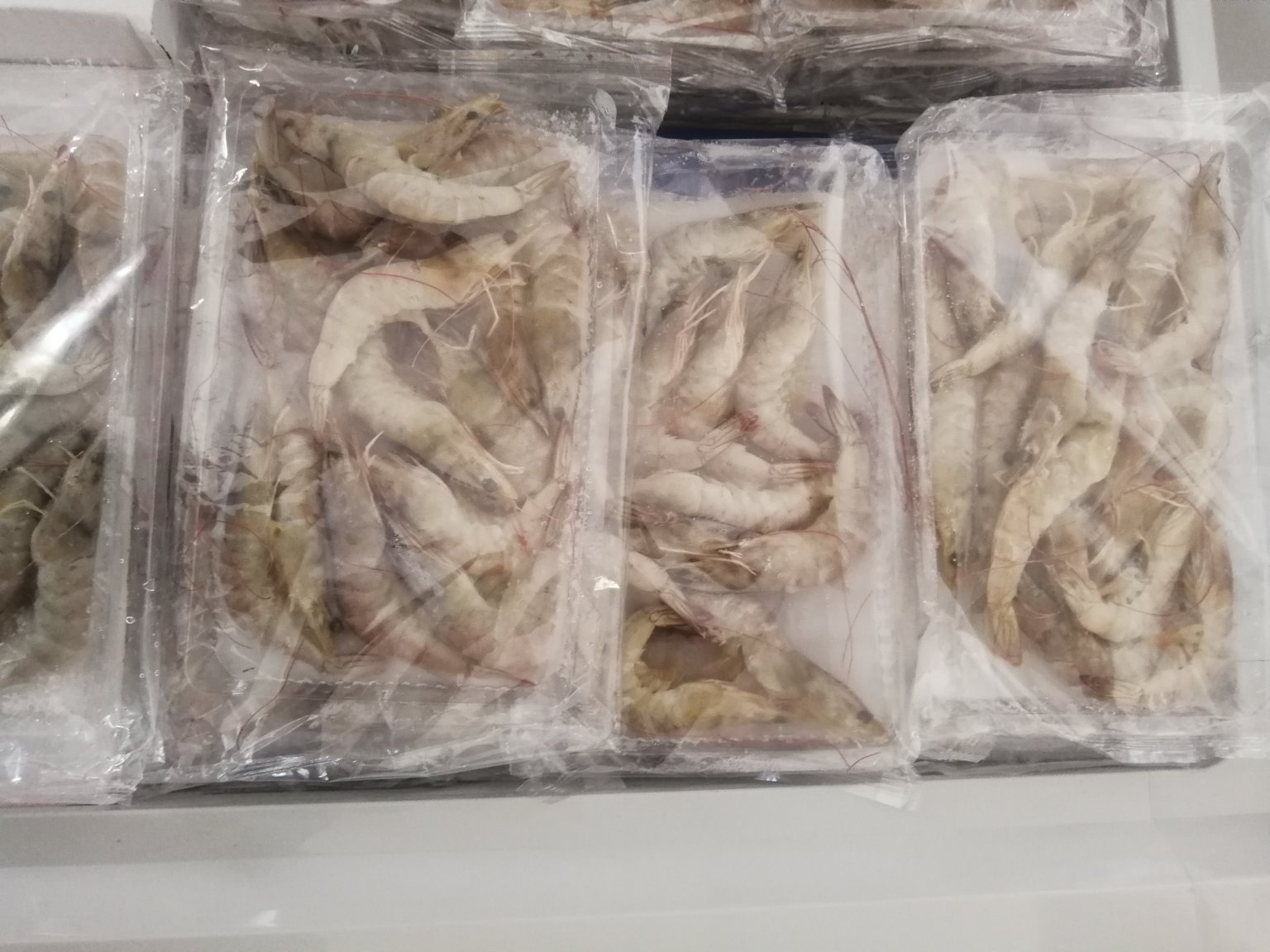 明亮超市生鲜区冷柜内,多款品牌养殖对虾产品并列摆放,包装采用食品级透明真空袋与硬质纸托,正面显著标注‘养殖’属性、产地信息(如‘广东湛江’)、质检合格标志及可扫描溯源二维码,标签字体清晰规范,体现合规标识与消费者知情权保障 超市冷柜中整齐陈列的真空包装养殖对虾产品,外包装印有清晰二维码、SC生产许可证号及“南美白对虾(养殖)”字样
