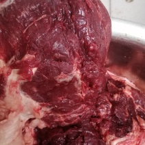 新鲜驴肉驴后腿肉水退毛带皮驴肉