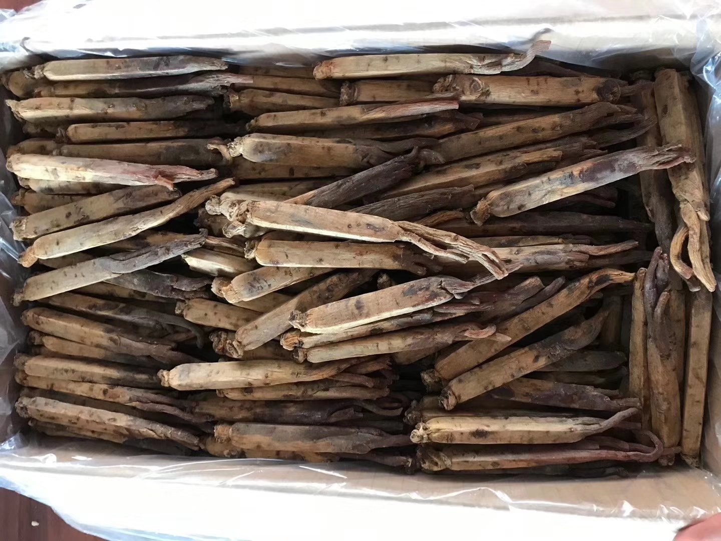 正官庄现代化恒温仓储中心内部场景