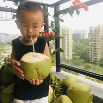 海南文昌椰子去皮椰青孕妇适用一件代发送开椰器