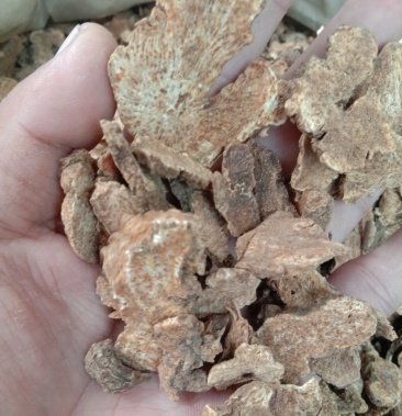 苍术皖南苍术生晒术优质