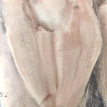 巴沙鱼