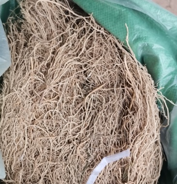 百条根老公须娃儿藤