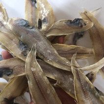 龙利鱼小鱼干鱼干