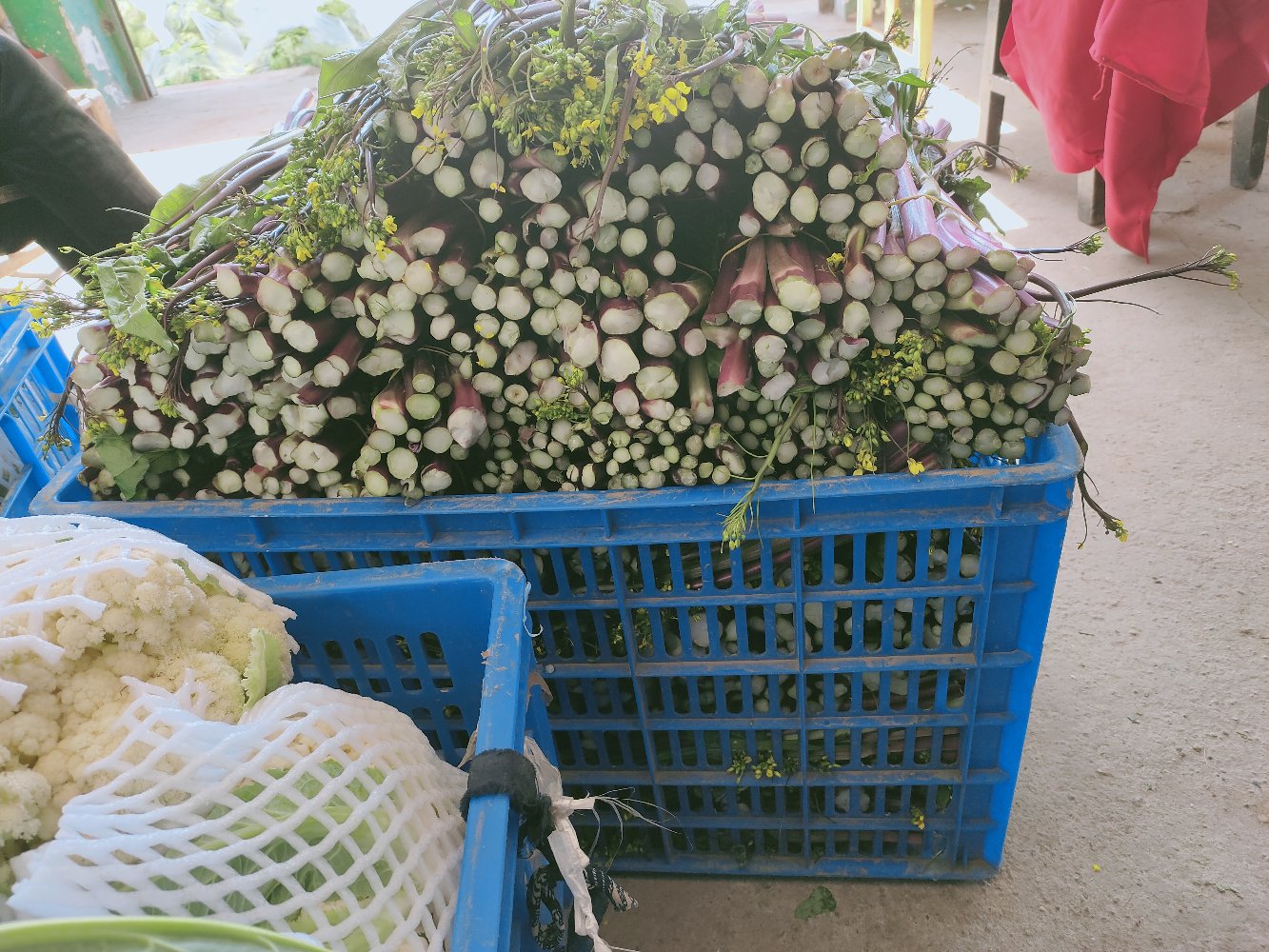 一个热闹的农贸市场内,摊主正在整理一捆捆新鲜的红菜苔,紫红色的菜苔整齐摆放,周围有市民挑选购买,背景可见‘新鲜蔬菜今日到货’的招牌 农贸市场红菜苔销售摊位