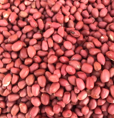 [花生米批发]缅甸红花生米价格11000.00元/吨 - 一亩田