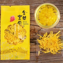 金丝皇菊