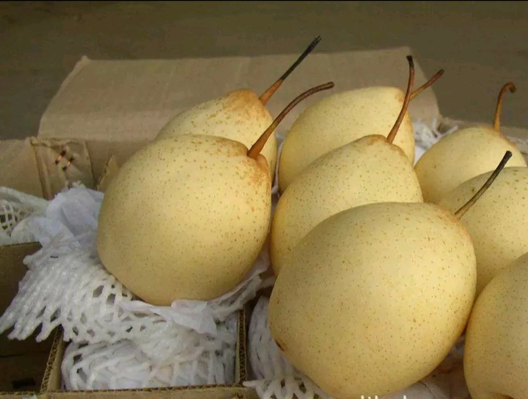 展示一颗完整的水晶梨,果皮呈金黄色,表面光滑,果肉透明,背景为自然果园环境 水晶梨的外观展示