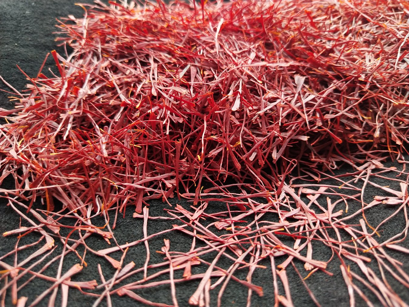 黑色雏菊干花制品