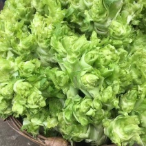 儿菜