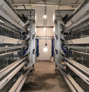 层叠蛋鸡笼自动化养殖设备