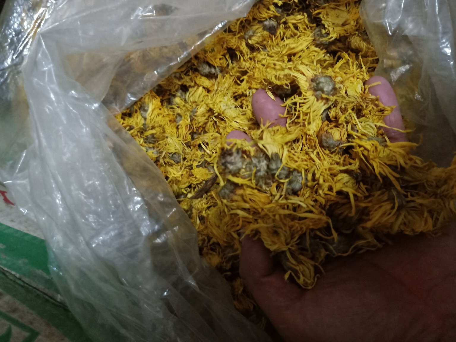 市售白菊花与野菊花包装产品对比图