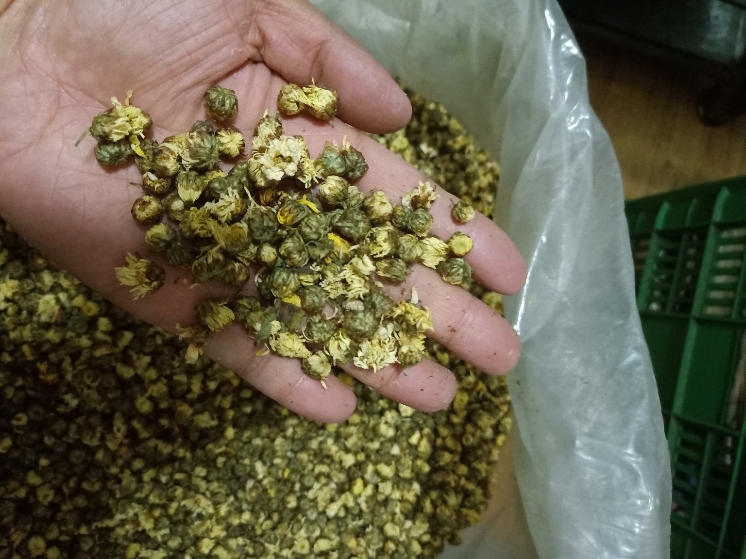 杭白菊的包装与保存方式