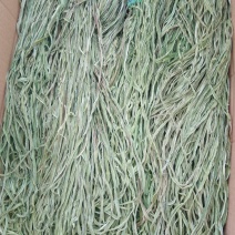 贡菜标准三级菜(不加水)