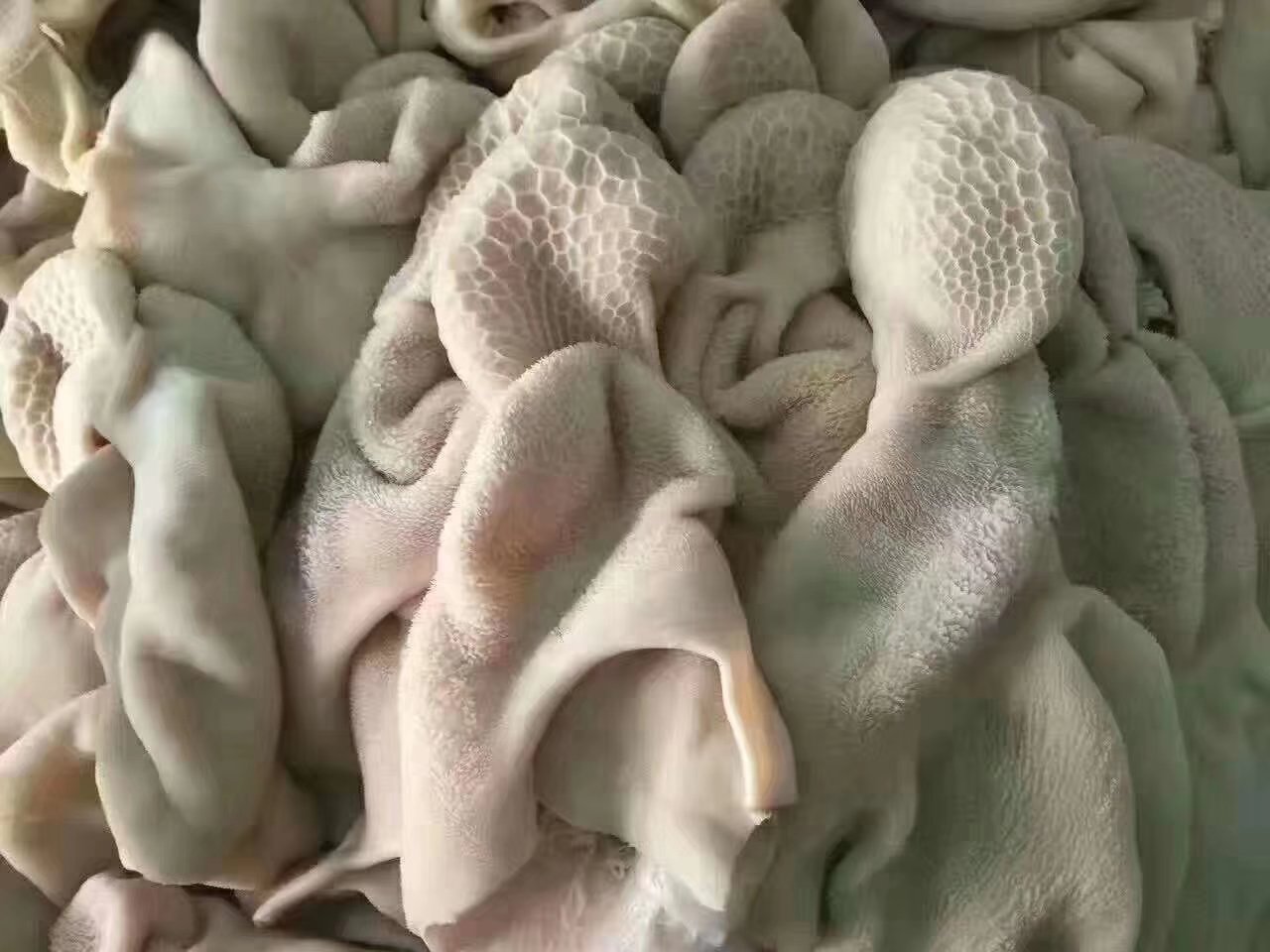 显微镜下观察的山羊肉横切面图像,左侧为波尔山羊,肌纤维束较细,排列紧密,间质脂肪分布均匀呈点状;右侧为白山羊,肌纤维较粗,结缔组织较多,脂肪沉积呈条带状,整体结构更为致密 山羊肉质纹理显微对比图