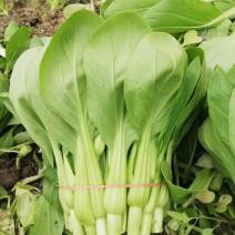 菜台