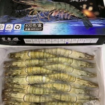 黑虎虾野生一手货源