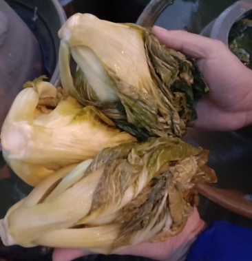 包心芥菜老坛酸菜无盐酸菜